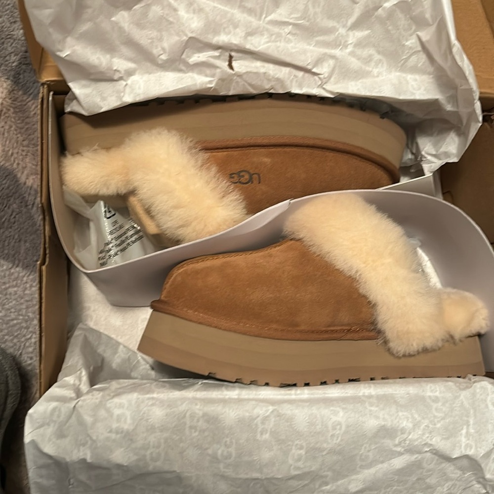 Ugg Disquette